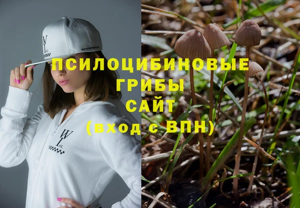 крисы Дмитров