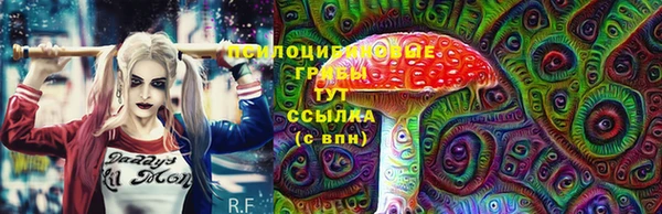 мдма Дмитриев