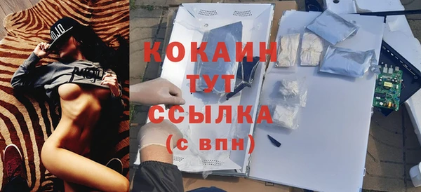 крисы Дмитров