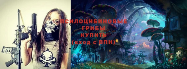 крисы Дмитров