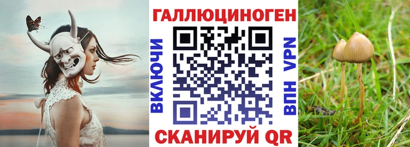 Псилоцибиновые грибы GOLDEN TEACHER  Купить  Брянск 